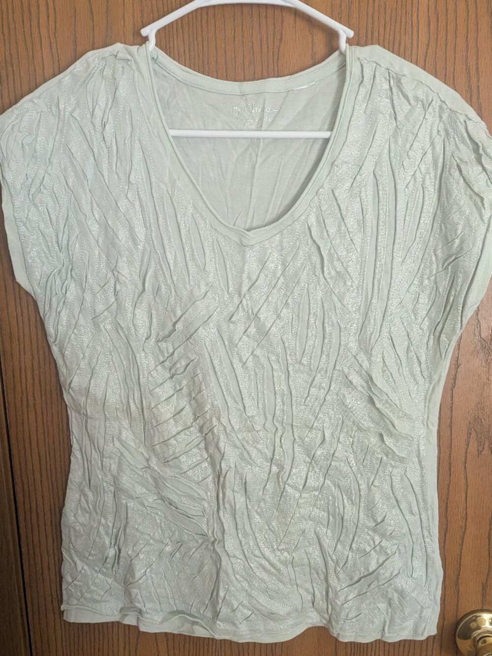 Chico's Textured V-Neck Cap Sleeve Mint Green Shimmer Top-1 (M)